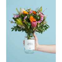 Read LVLY Reviews